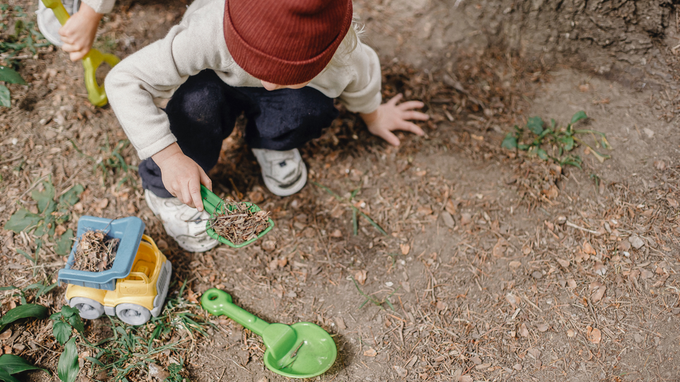 A child playing on the ground with plastic toys, sitting close o a tree, photographed from above.  